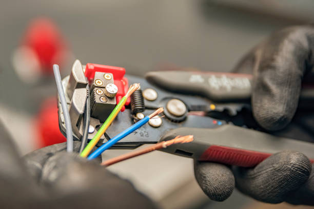 Best Electric Panel Repair  in Loogootee, IN